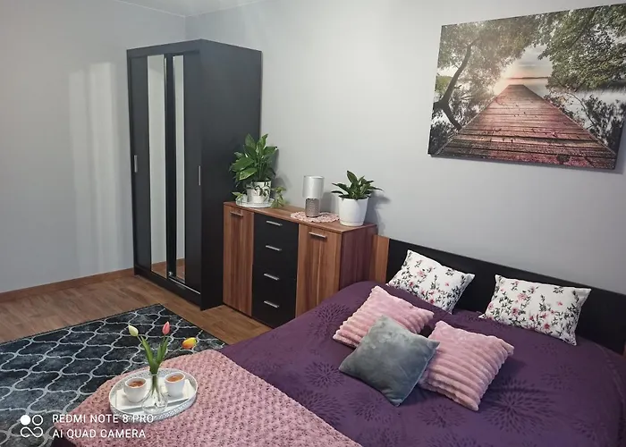 Silver Apartment Mazury Gizycko